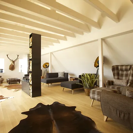 فندق Illertisser Hof 3*